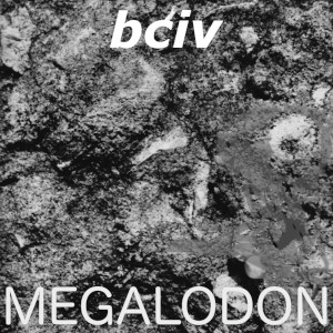 Megalodon album cover. Black and white medium format photograph possibly suggestive of a sea creature